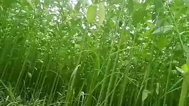 Dehati Gf sucking dick outdoor video scandal
